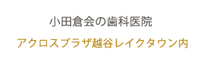 求人サイト（スマイル歯科レイクタウンクリニック）|越谷 歯科医師 歯科衛生士　歯科助手 求人情報